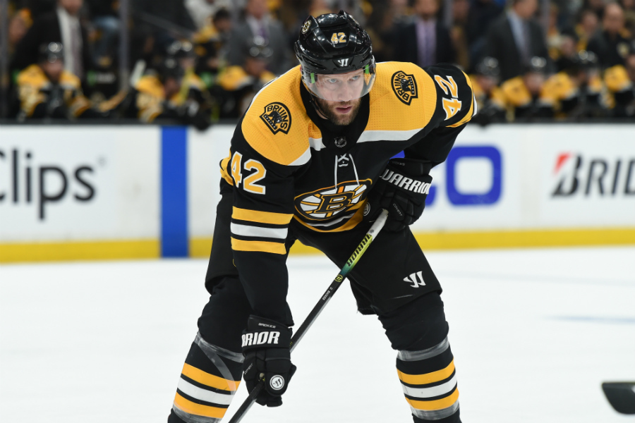 Bruins
