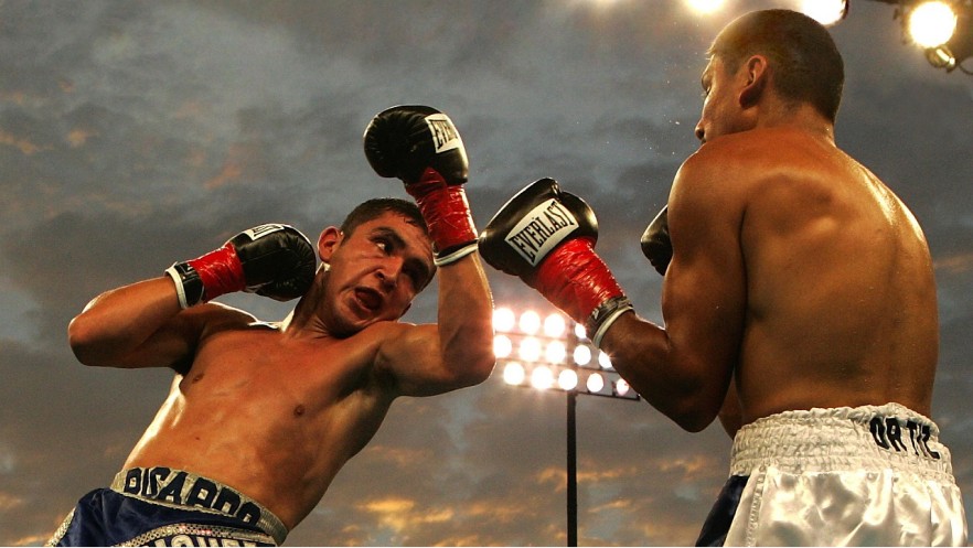 Image shows two boxers.