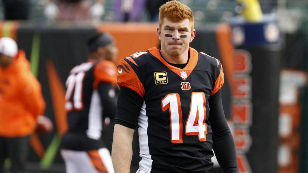 cincinnati bengals andy dalton jersey