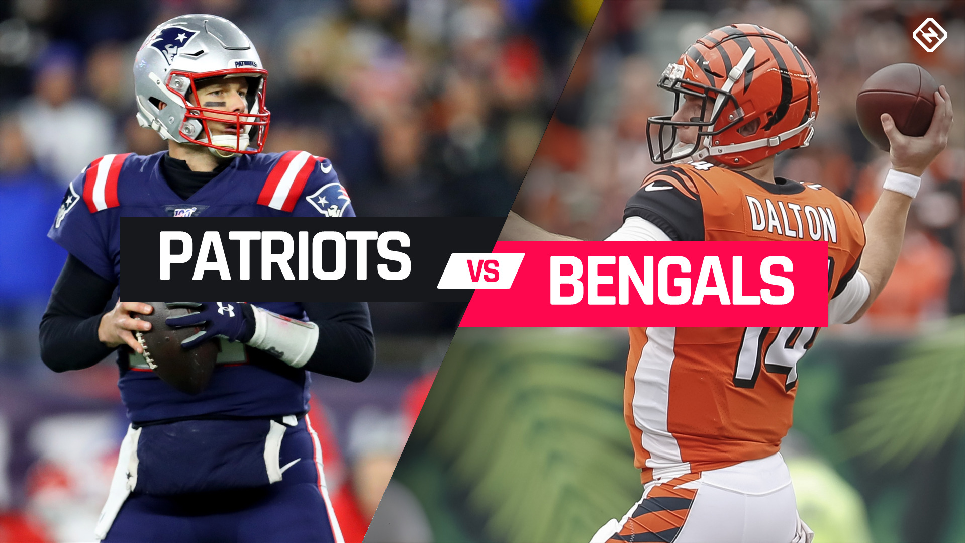 Patriots vs. Bengals Week 15 Highlights