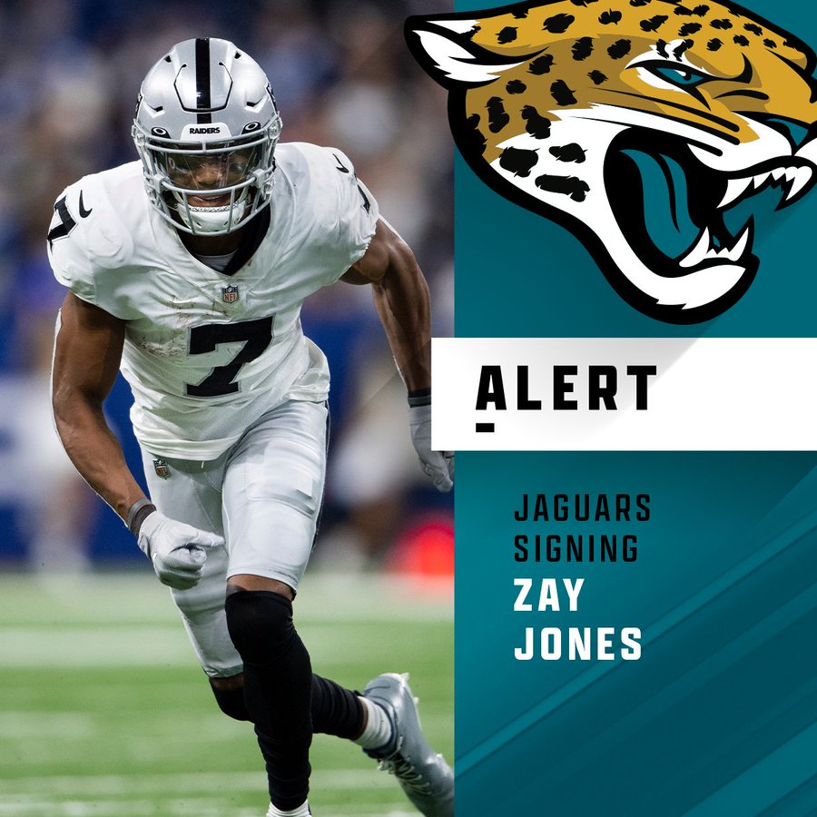 Zay Jones injury: Jaguars WR returns to game in Week 2